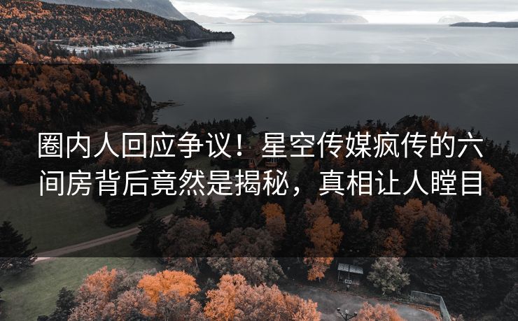 圈内人回应争议！星空传媒疯传的六间房背后竟然是揭秘，真相让人瞠目